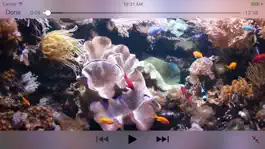 Game screenshot Aquarium Videos hack