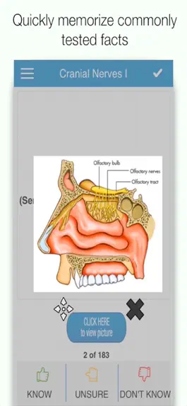 Game screenshot ADAT Anatomy Cram Cards mod apk