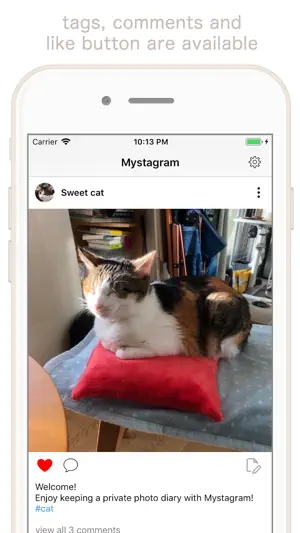 Mystagram -Private Photo Diary screenshot 2