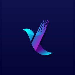 BirdStock - Market & News