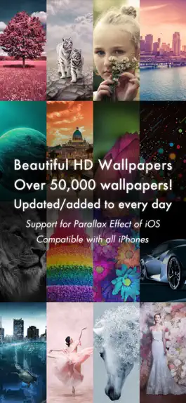 Game screenshot Beautiful HD Wallpapers 4K/HDR mod apk