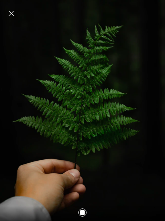 Screenshot #5 pour Sticker Moment