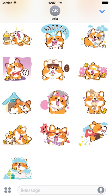 Super Cute Corgi Dog Stickers screenshot-3