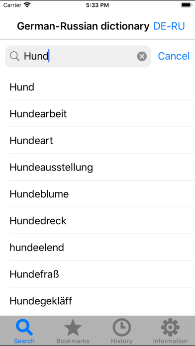 German-Russian dictionary DERU Screenshot