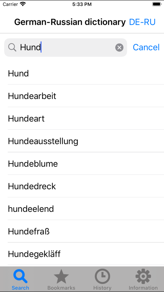 German-Russian dictionary DERU - 2.8 - (iOS)