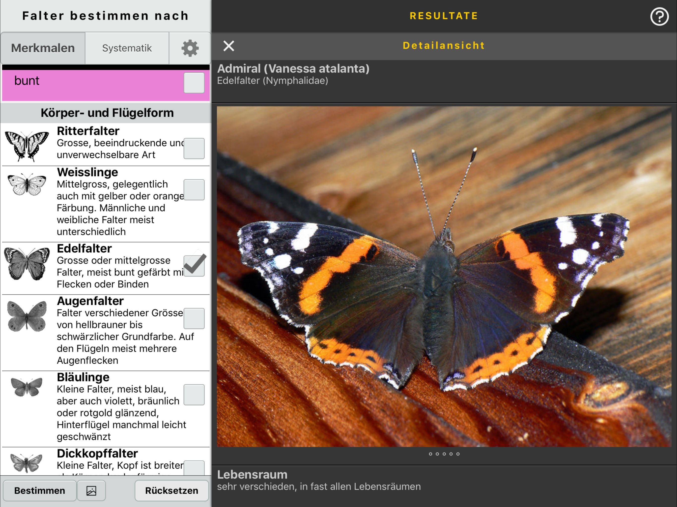 sCHmetterling