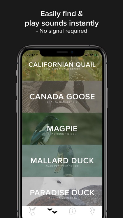 Game Calls NZ screenshot-3