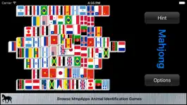 Game screenshot Mahjong Flags apk