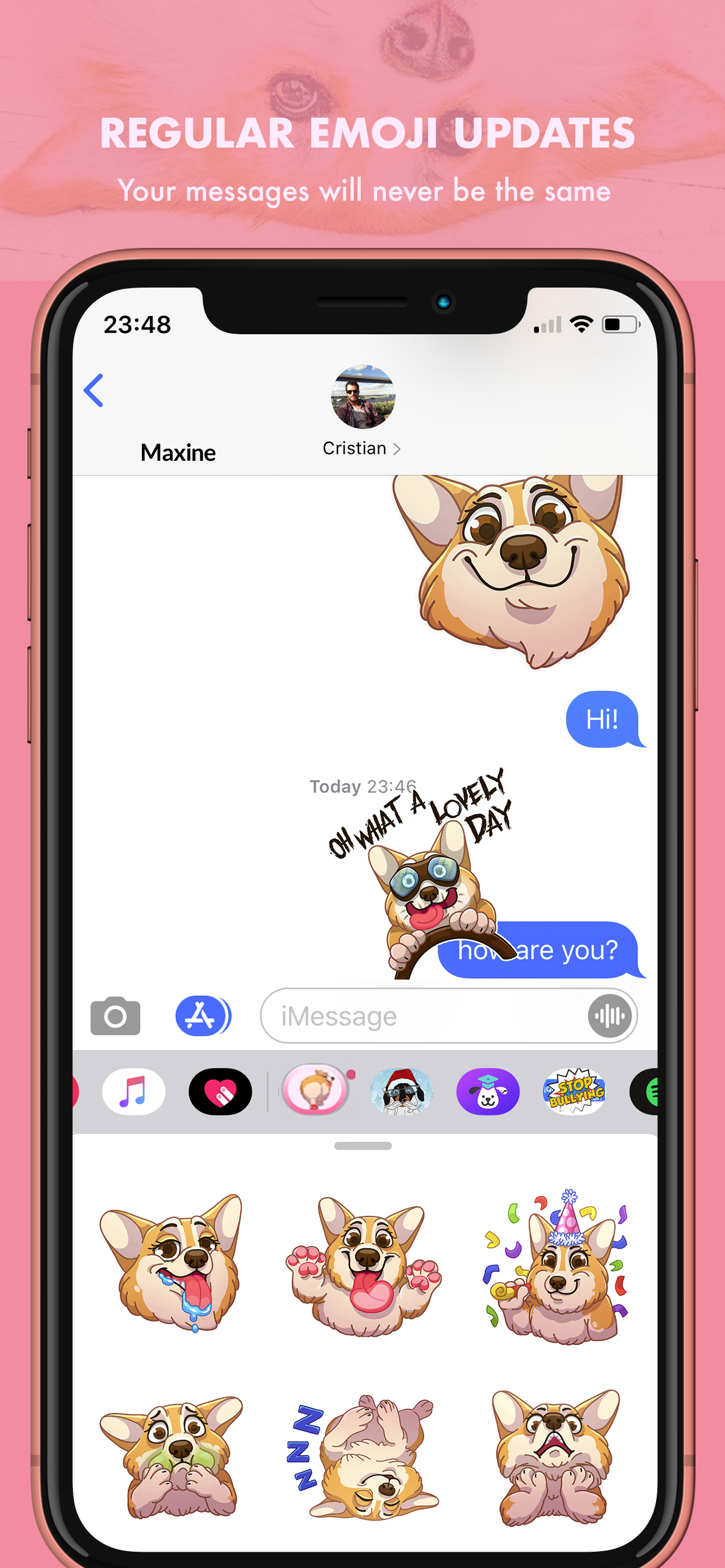 MaxiMojis - Corgi dog stickers