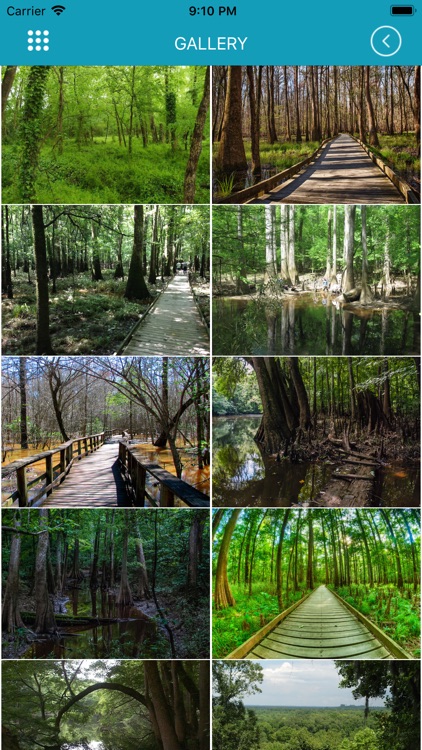 South Carolina State Parks_ screenshot-5