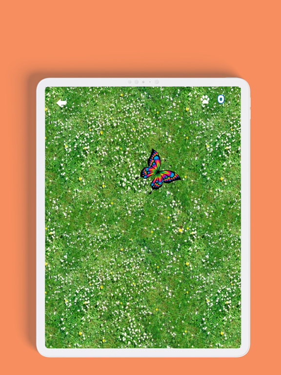 Laser Pointer for Cat iPad screenshot 4 - Entertainment app