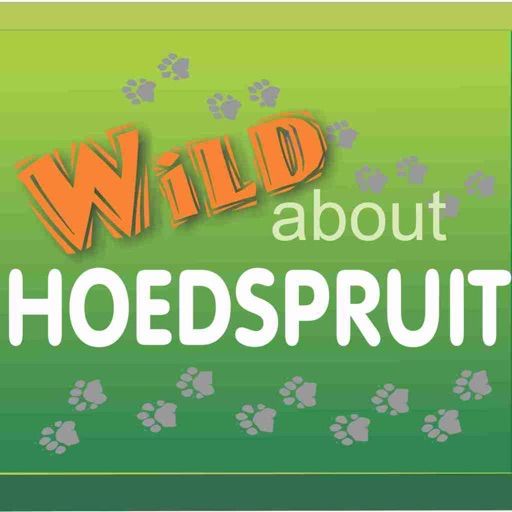 Wild About Hoedspruit