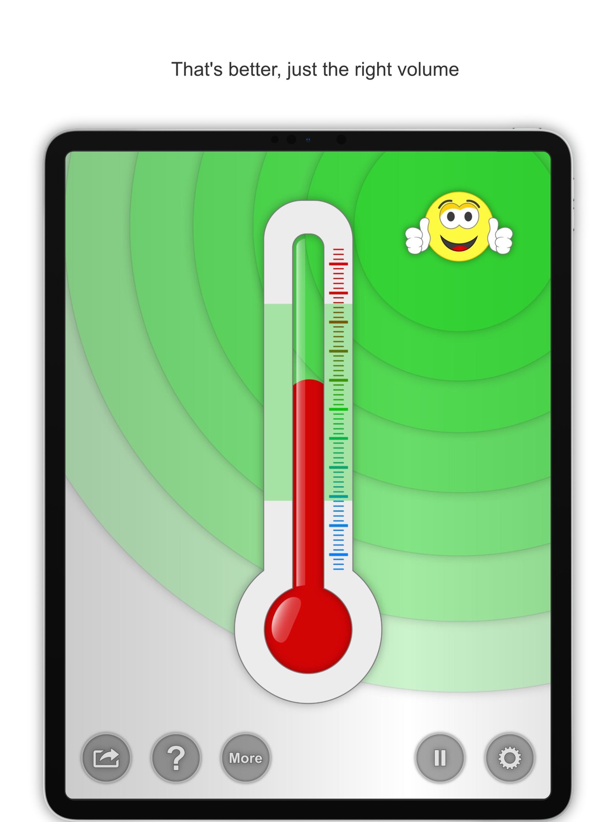 Voice Meter Pro ipad screenshot 2