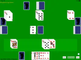 Game screenshot Hand And Foot Canasta apk