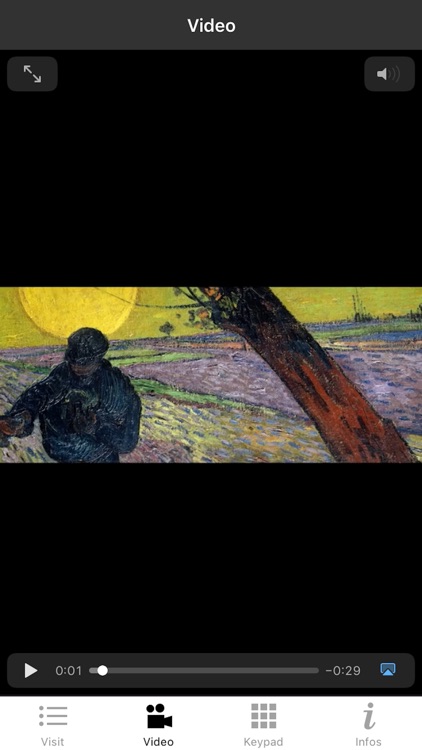 La collection Emil Bührle