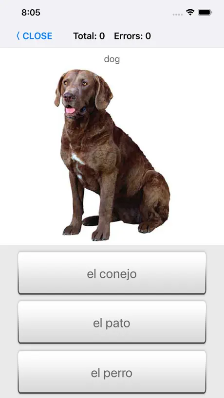 Learn Spanish words with ST