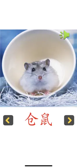 Game screenshot 认知卡认识动物 apk
