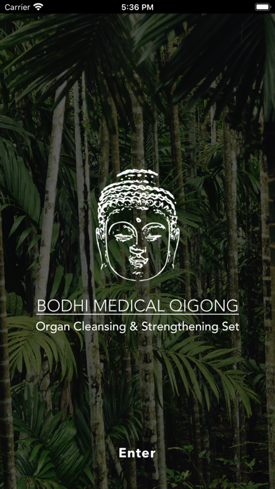 Bodhi Medical Qigong screenshot 2