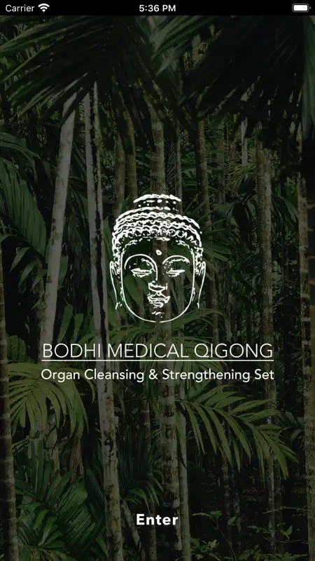 Bodhi Medical Qigong screenshot 2 of 7