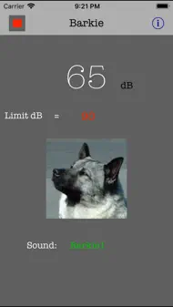 Barkie iphone bilder 0
