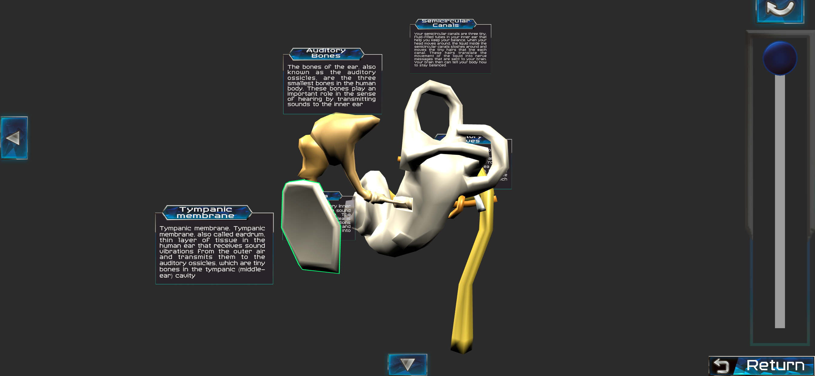 Human anatomy system & parts screenshot 4