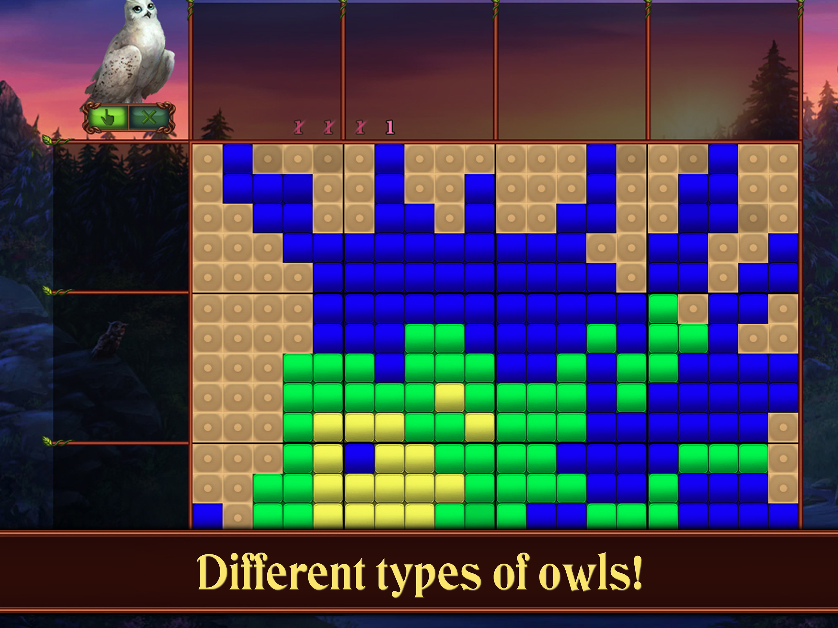 Riddles of the Owls' Kingdom screenshot 12