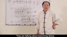 qigong keypoints video lesson iphone images 4