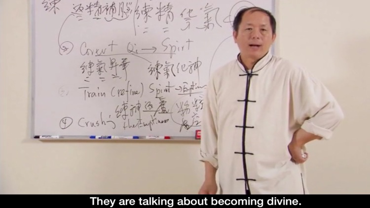 Qigong Keypoints Video Lesson screenshot-3