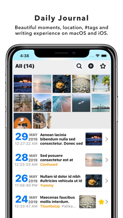 Daily Journal - Pocket Edition