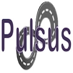 Pulsus - On The Road