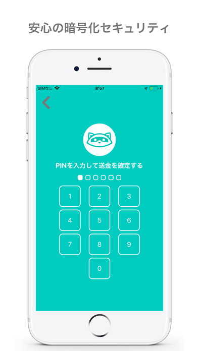 Screenshot #2 pour RaccoonWallet