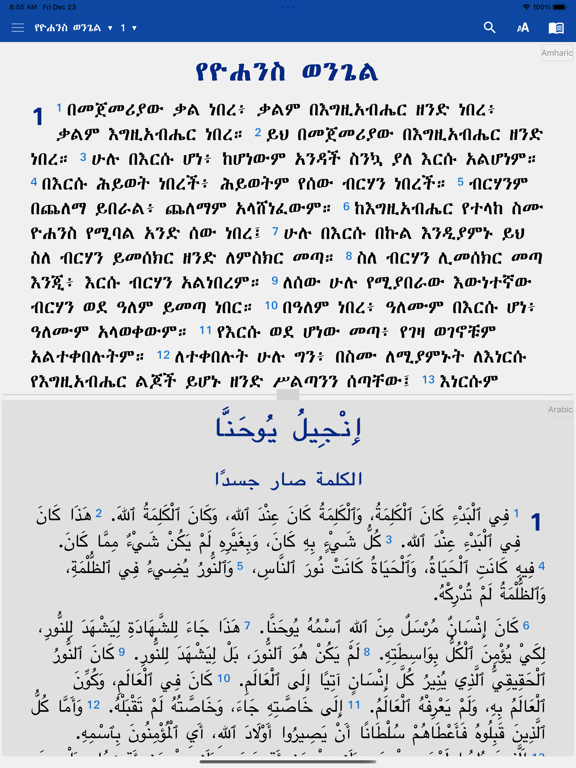 Screenshot #4 pour African Ten Languages