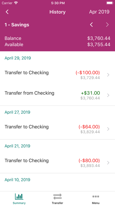 Mint Valley FCU screenshot 3