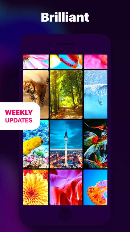 Live Wallpaper & Wallpapers 4K screenshot-4