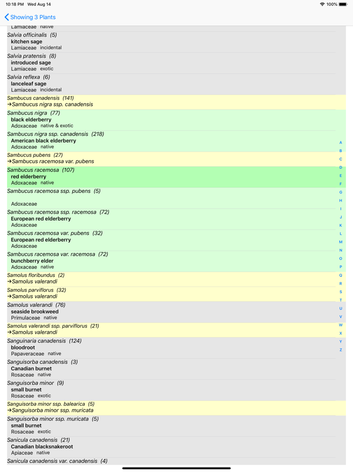 Michigan Wildflowers
