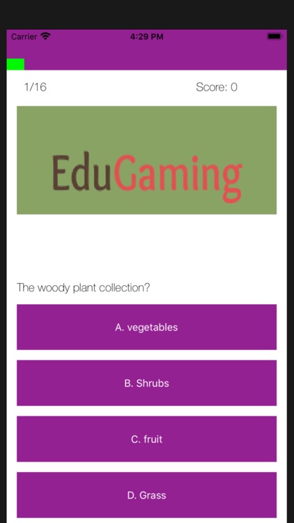 EduGaming