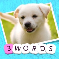 3 Words Cute Animals – a word game based on cuddly animal pictures