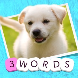 3 Words: Cute Animals – a word game based on cuddly animal pictures