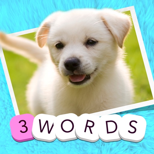 3 Words: Cute Animals – a word game based on cuddly animal pictures icon