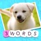 *** Can you guess the 3 secret words associated with each adorable picture