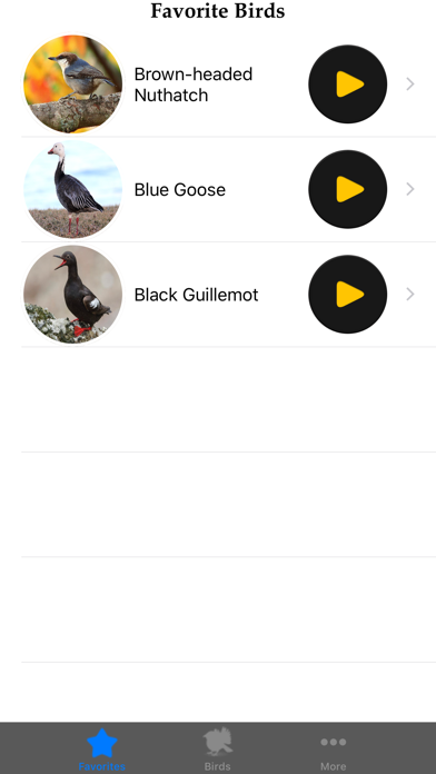 Birds of North America Screenshot