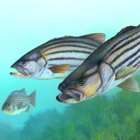 낚시 광신자 - 낚시 앱