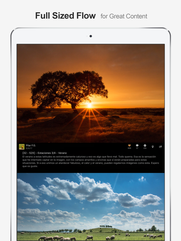 Screenshot #5 pour MultiTab for Flickr