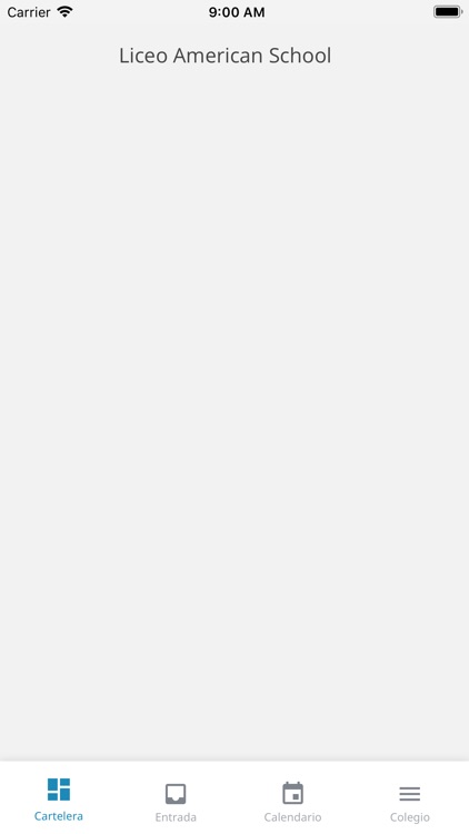 Liceo American School