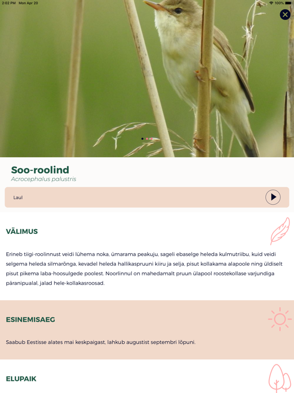 Screenshot #6 pour Siuts