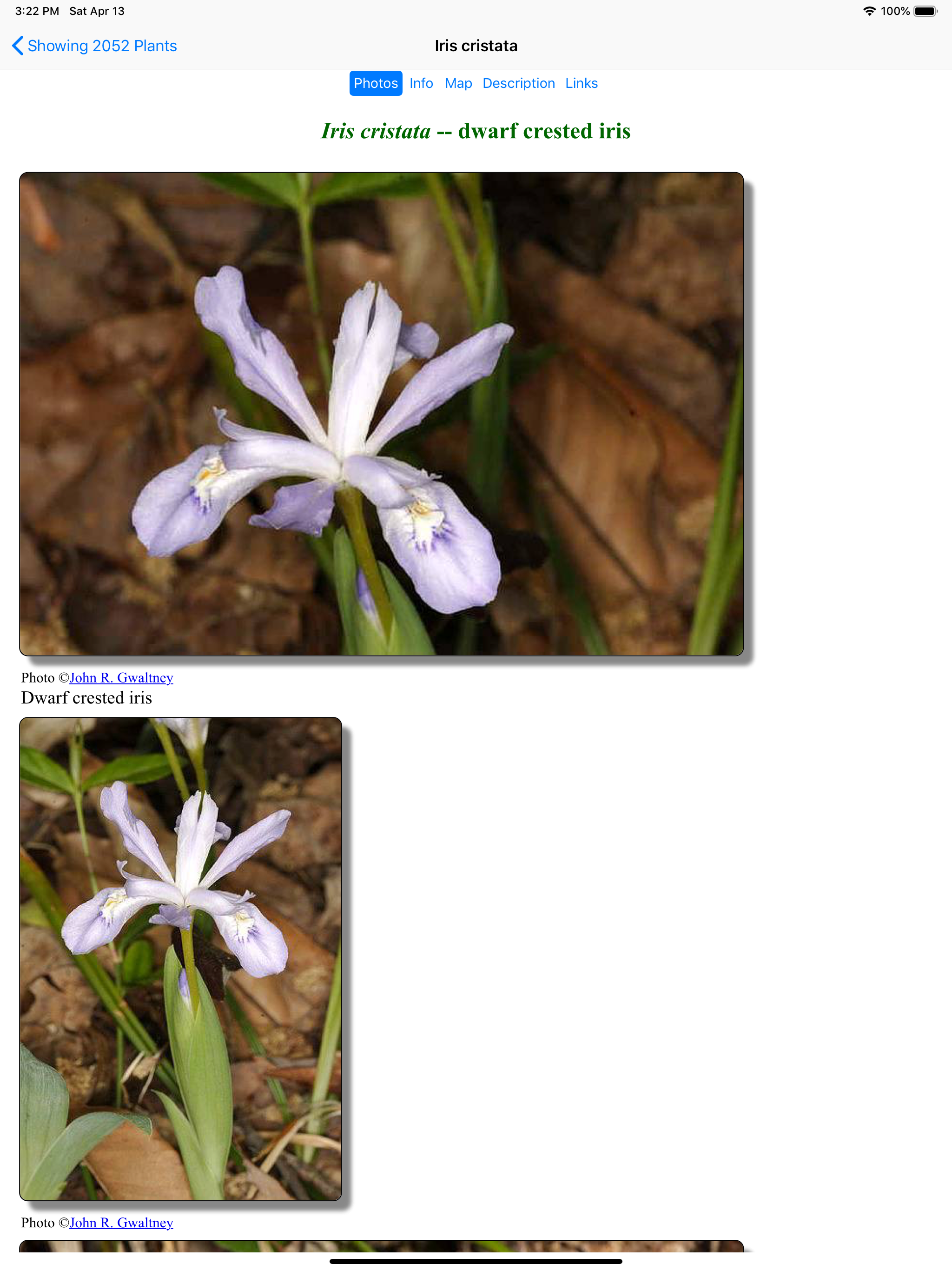 Smoky Mountains Wildflowers