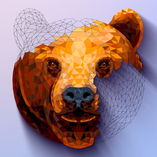 POLYGON: Color by Number