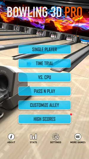 Bowling 3D Pro: Ten Pin screenshot 3