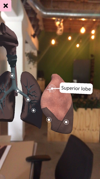 AR Content Viewer screenshot-3