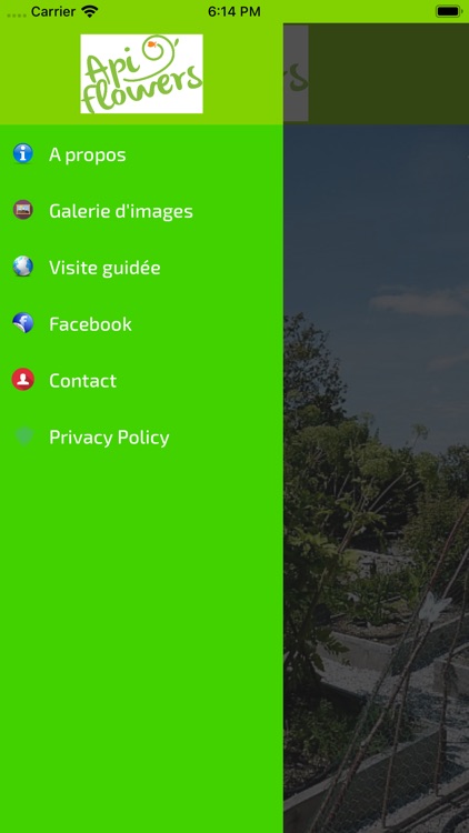 Apiflowers screenshot-3